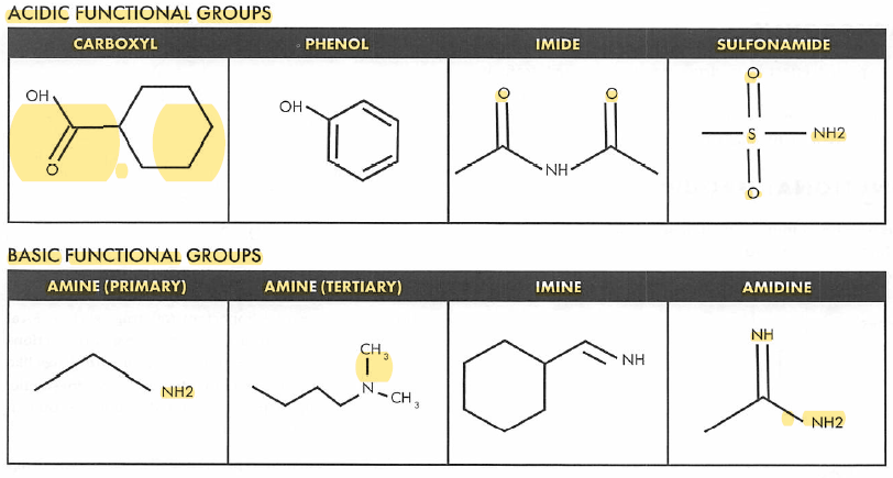 acid and base functional group